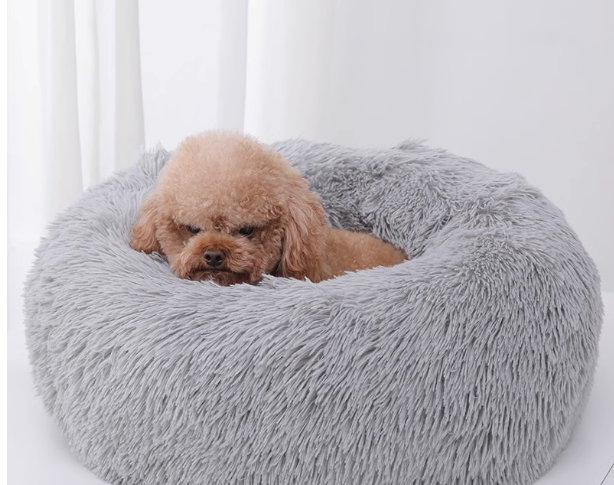 https://fulmo-img-server.com/dog-bed-lab/1730164592189_ylm4g3g7_ã¹ã¯ãªã¼ã³ã·ã§ãã 2024-10-29 101607.png